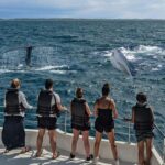 1 mirissa morning whale watching tour 2 Mirissa: Morning Whale Watching Tour