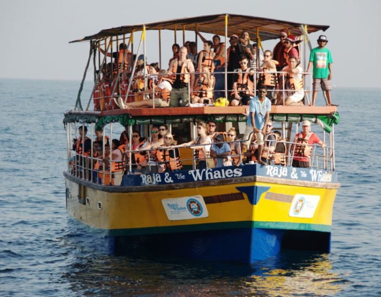 Mirissa Whale Watching Tour With Free Breakfast Onboard