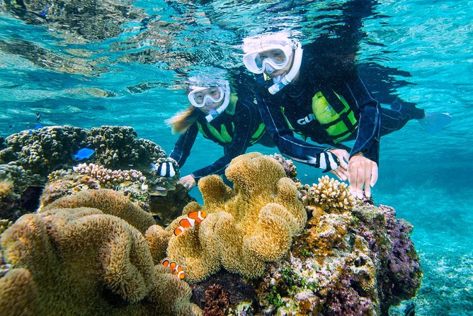 1 miyakojima snorkel tour to enjoy coral and fish Miyakojima / Snorkel Tour to Enjoy Coral and Fish