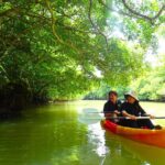 1 miyara river 90 minute small group sup or canoe tour mar Miyara River 90-Minute Small-Group SUP or Canoe Tour (Mar )