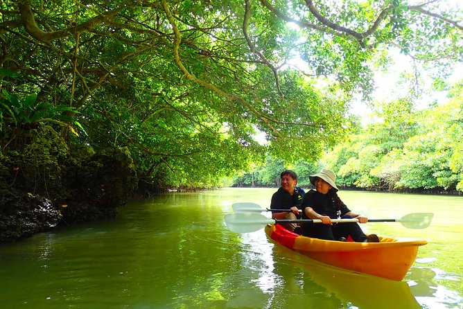 Miyara River 90-Minute Small-Group SUP or Canoe Tour (Mar )