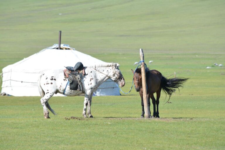 Mongolia: 11-Day Tour With Gobi Desert and Naadam Festival