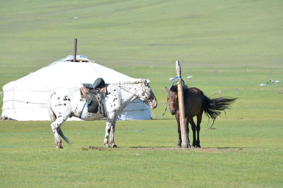 1 mongolia 11 day tour with gobi desert and naadam festival Mongolia: 11-Day Tour With Gobi Desert and Naadam Festival