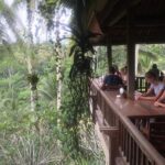 1 monkey forest ubud and rice terraces Monkey Forest, Ubud, and Rice Terraces