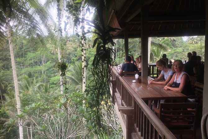 Monkey Forest, Ubud, and Rice Terraces