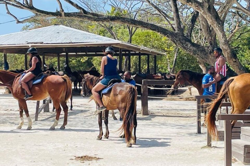 1 montego bay horseback riding bamboo rafting tour Montego Bay: Horseback Riding & Bamboo Rafting Tour