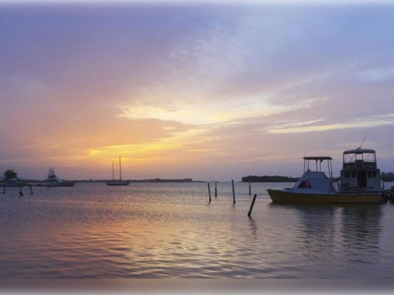 Montego Bay: Luminous Lagoon Nighttime Boat Tour