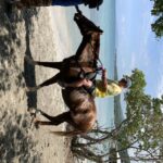 1 montego bay zipline atv horseback riding catamaran tour Montego Bay: Zipline, ATV, Horseback Riding & Catamaran Tour