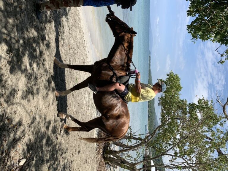 Montego Bay: Zipline, ATV, Horseback Riding & Catamaran Tour