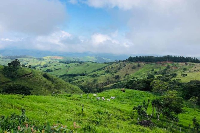 Monteverde Cloud Forest Horseback Riding