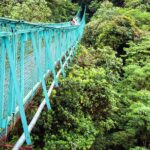 1 monteverde hanging bridges day trip from san jose Monteverde Hanging Bridges Day Trip From San Jose