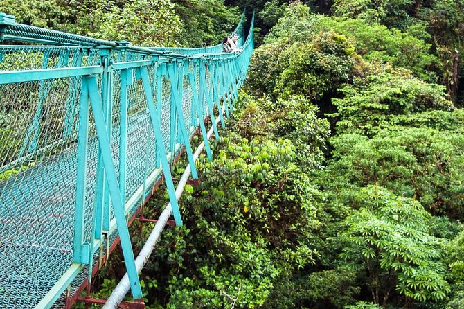 Monteverde Hanging Bridges Day Trip From San Jose