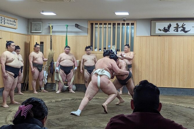 Morning Sumo Practice Viewing in Tokyo