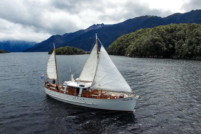 1 morning tea cruise on historic motor yacht from te anau Morning Tea Cruise on Historic Motor Yacht From Te Anau