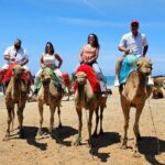 1 moroccotangier private tour from malaga province or tarifa Morocco:Tangier Private Tour From Malaga Province or Tarifa