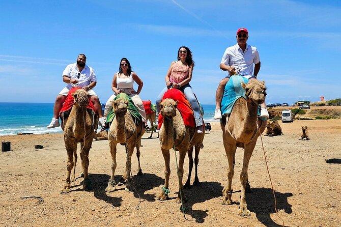 Morocco:Tangier Private Tour From Malaga Province or Tarifa