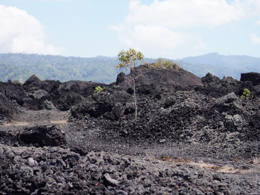 1 mount batur adventurous black lava tour with vw thing Mount Batur: Adventurous Black Lava Tour With VW Thing