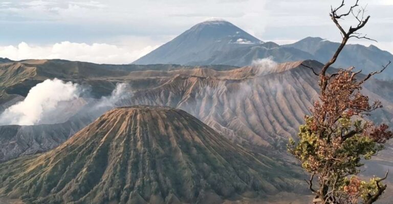Mount Bromo Sunrise 1 Day Private Tour From Surabaya/Malang
