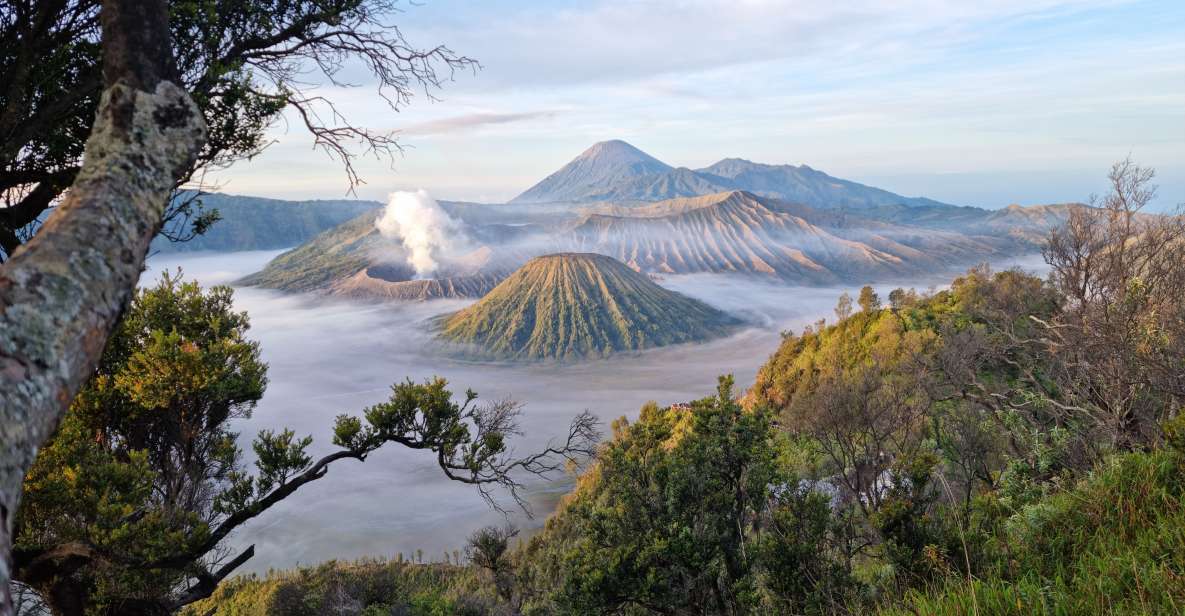 1 mount bromo sunrise guided tour with optional transfer Mount Bromo: Sunrise Guided Tour With Optional Transfer