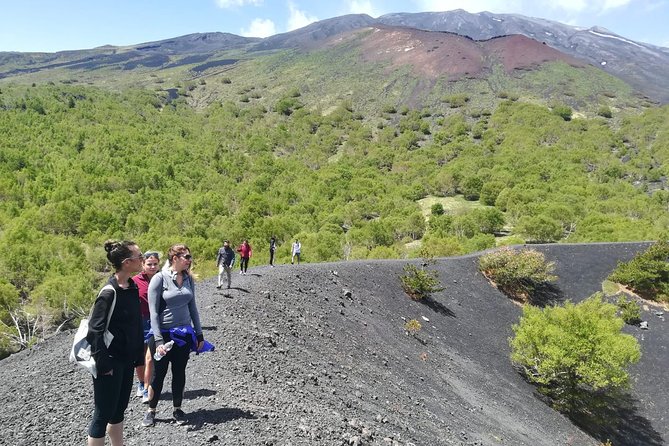 Mount Etna Half-Day Tour – Small Groups From Taormina