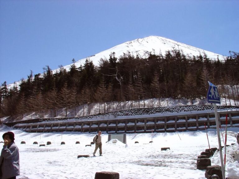 Mount Fuji Full Day Private Tour (English Speaking Driver)