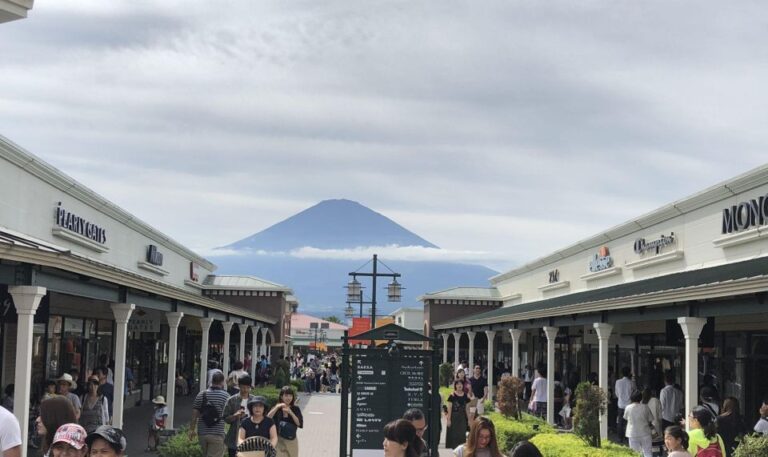 Mount Fuji Panoramic View & Shopping Day Tour