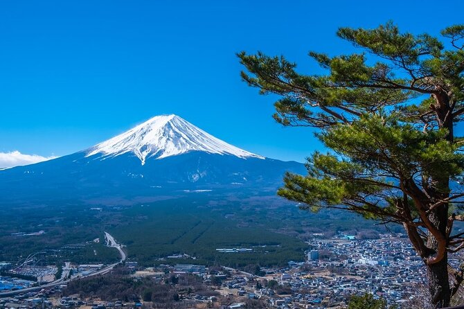 Mount Fuji Private Tour by Car With Pick-Up