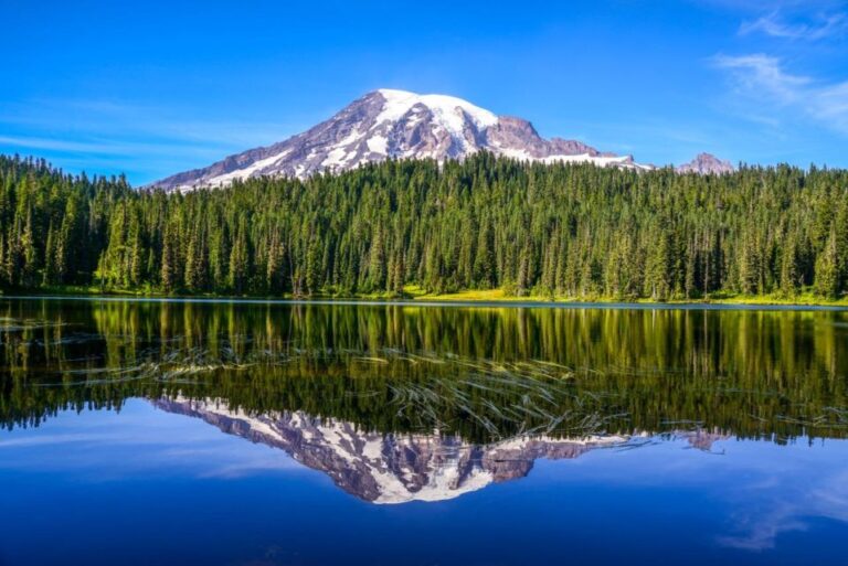 Mount Rainier National Park:Nature, Waterfalls,and Wildlife