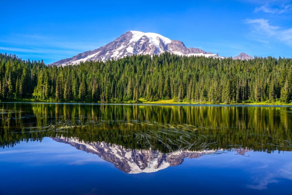 1 mount rainier national parknature waterfallsand wildlife Mount Rainier National Park:Nature, Waterfalls,and Wildlife