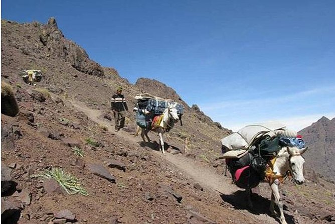 1 mount toubkal 2 day climb from marrakech Mount Toubkal: 2-Day Climb From Marrakech