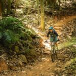 1 mountain bike tour cairns Mountain Bike Tour - Cairns