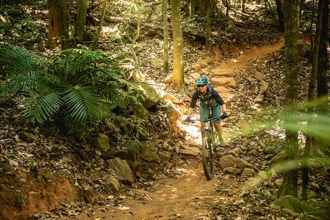 Mountain Bike Tour – Cairns