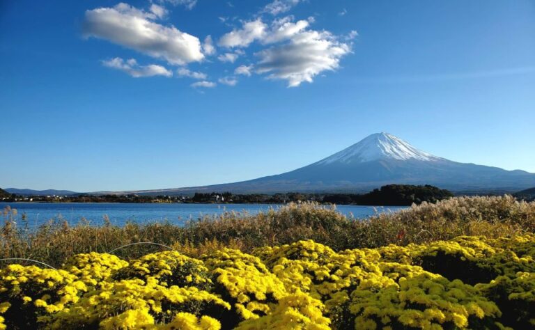 Mt Fuji: Full Day Private Tour With English Guide