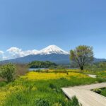 1 mt fuji half day tour by car Mt Fuji Half-Day Tour By Car