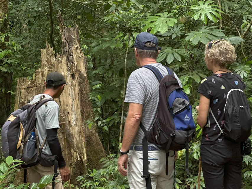 1 munduk sunrise jungle trek canoe waterfall Munduk Sunrise, Jungle Trek, Canoe & Waterfall