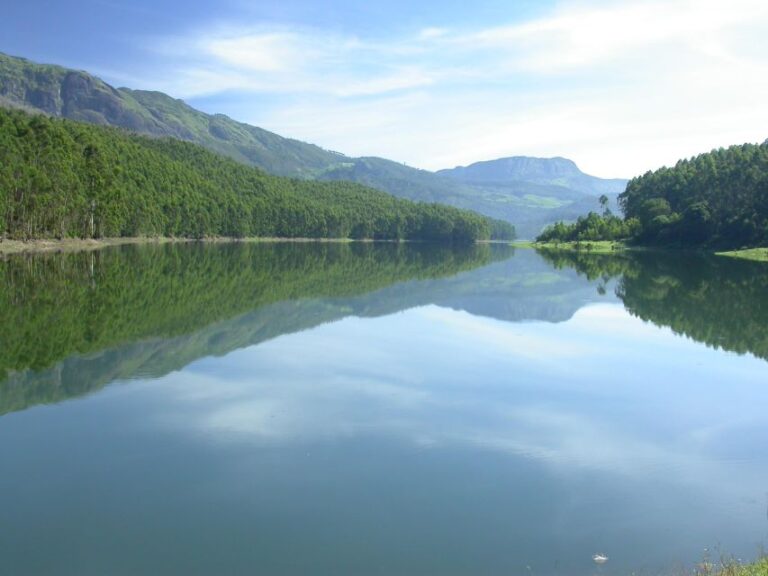 Munnar Site-Seeing Tour