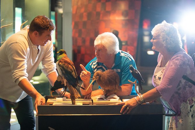 Museum of New Zealand Te Papa: Small Group Guided Tour