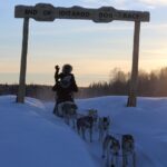 1 mush your own sled dog team winter tour in talkeetna alaska Mush Your Own Sled Dog Team (Winter Tour) in Talkeetna, Alaska