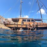 1 mykonos sail cruise to delosrhenia bbqdrinks optional delos tour transfer Mykonos Sail Cruise to Delos&Rhenia, Bbq&Drinks, Optional Delos Tour & Transfer