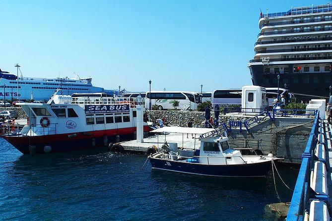 Mykonos Shore Excursion: 5-Hour Delos Island Day Trip From Mykonos