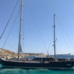 1 mykonos superior cruise to rhenia island and delos guided tour free transfers Mykonos: Superior Cruise to Rhenia Island and Delos Guided Tour (Free Transfers)