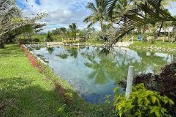 Nadi Full-Day Tour With Garden of the Sleeping Giant, Mud Pool (Mar )