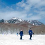1 nagano winter special tour snow monkey and snowshoe hiking Nagano Winter Special Tour "Snow Monkey and Snowshoe Hiking"!!