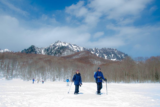 1 nagano winter special tour snow monkey and snowshoe hiking Nagano Winter Special Tour "Snow Monkey and Snowshoe Hiking"!!