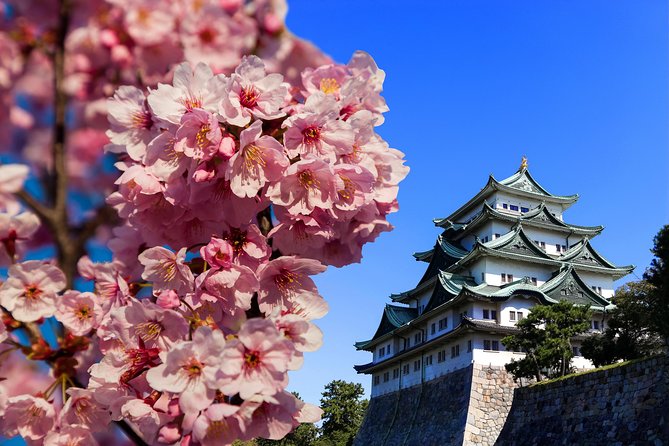 Nagoya Half Day Tour With a Local: 100% Personalized & Private