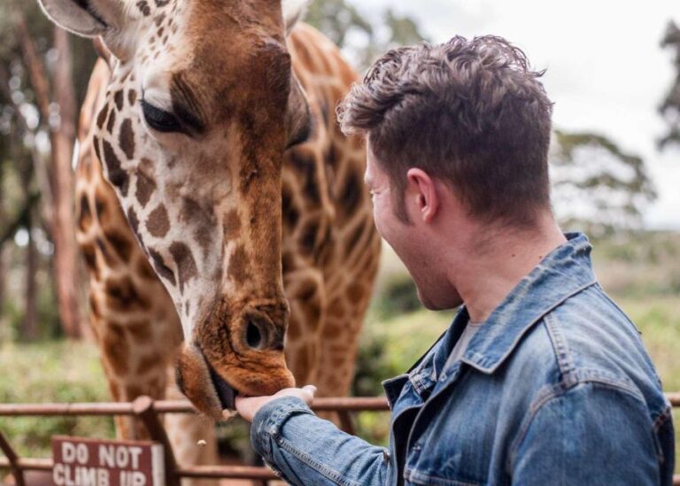 Nairobi National Park, Baby Elephant & Giraffe Center Tour