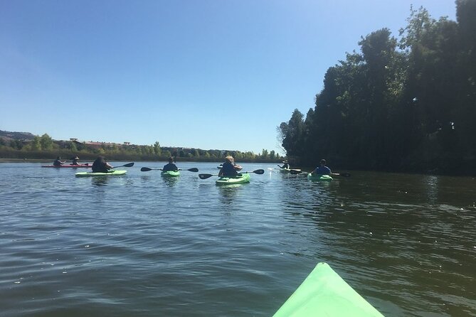 Napa Valley – River History Kayak Tour – Single Kayaks