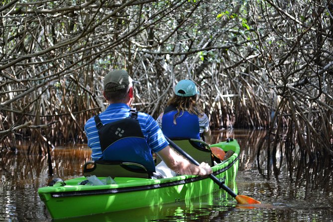 Naples Small-Group Half-Day Everglades Kayak Tour (Mar )