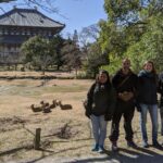1 nara city highlights shared group or private bike tour Nara: City Highlights Shared Group or Private Bike Tour