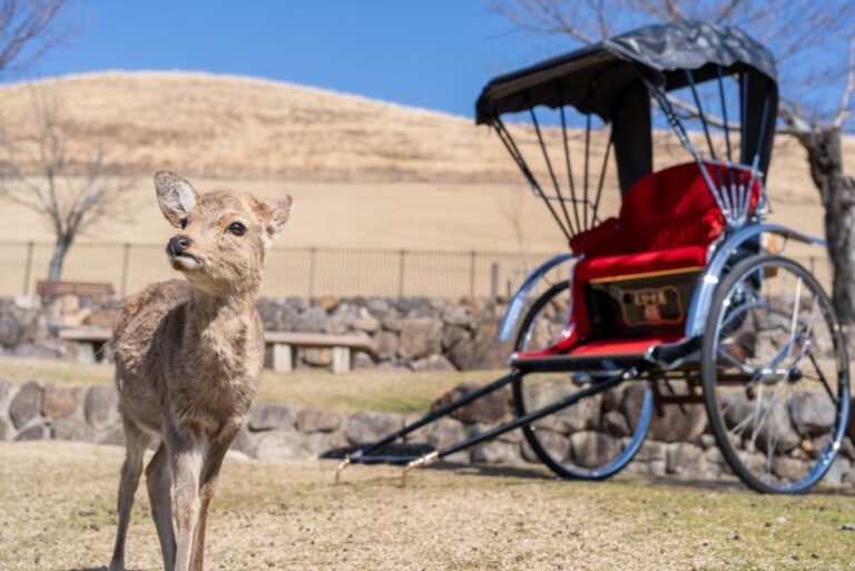 Nara: Cultural Heritage Tour by Rickshaw
